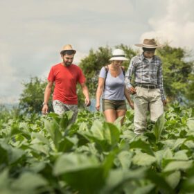 El Espinal- Yunga Salteña