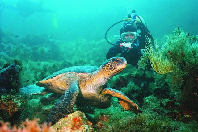 GALAPAGOS: EL PARAISO DE LA BIODIVERSIDAD