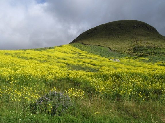 GALAPAGOS: EL PARAISO DE LA BIODIVERSIDAD - Image 4