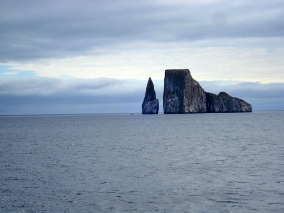 GALAPAGOS: EL PARAISO DE LA BIODIVERSIDAD - Image 2