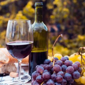 "RAICES DE MENDOZA: TALLERES ARTESANALES Y VIDA RURAL"