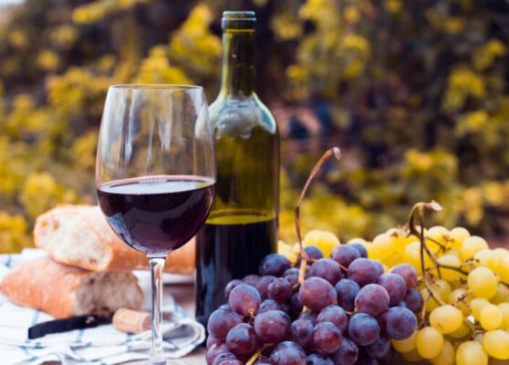 "RAICES DE MENDOZA: TALLERES ARTESANALES Y VIDA RURAL"