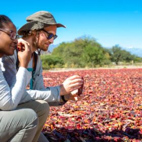 Con identidad Argentina, Tango tejidos y sabores