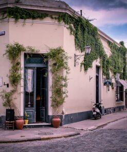 SAN ANTONIO DE ARECO - FINDE CAMPESTRE