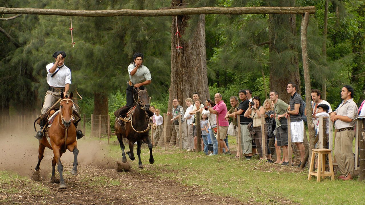 SAN ANTONIO DE ARECO - FINDE CAMPESTRE - Image 8