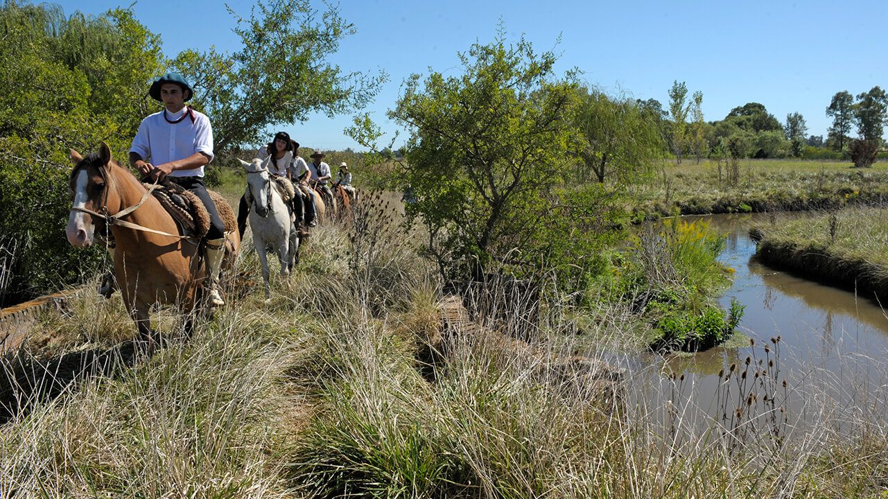SAN ANTONIO DE ARECO - FINDE CAMPESTRE - Image 4