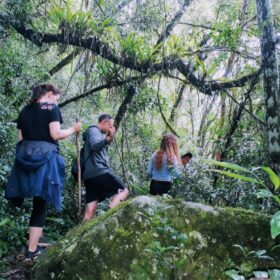 Indigenous Tourism exploring the Guaraní Trail and Margay Lodge - Misiones