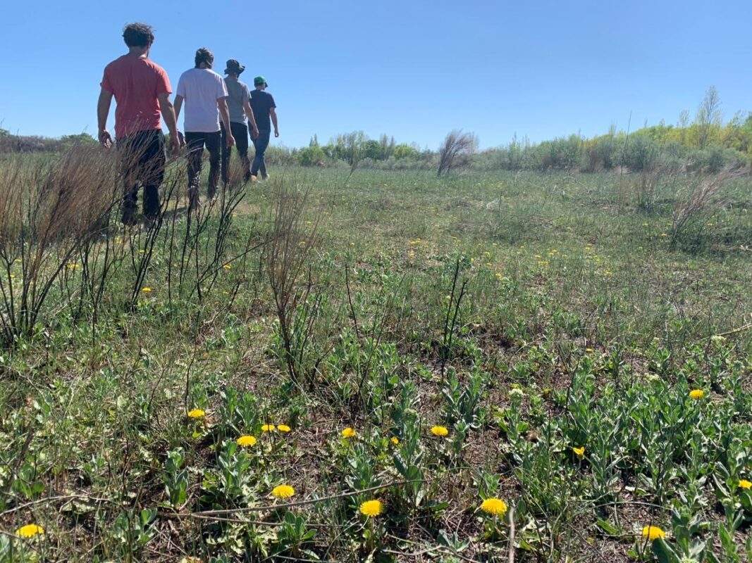 GO BEYOND TRAVEL: HELP US REGENERATE PATAGONIA  — ARVÖL