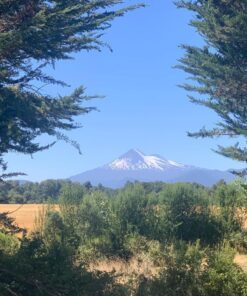 Alternative view of Regeneración ARVOL