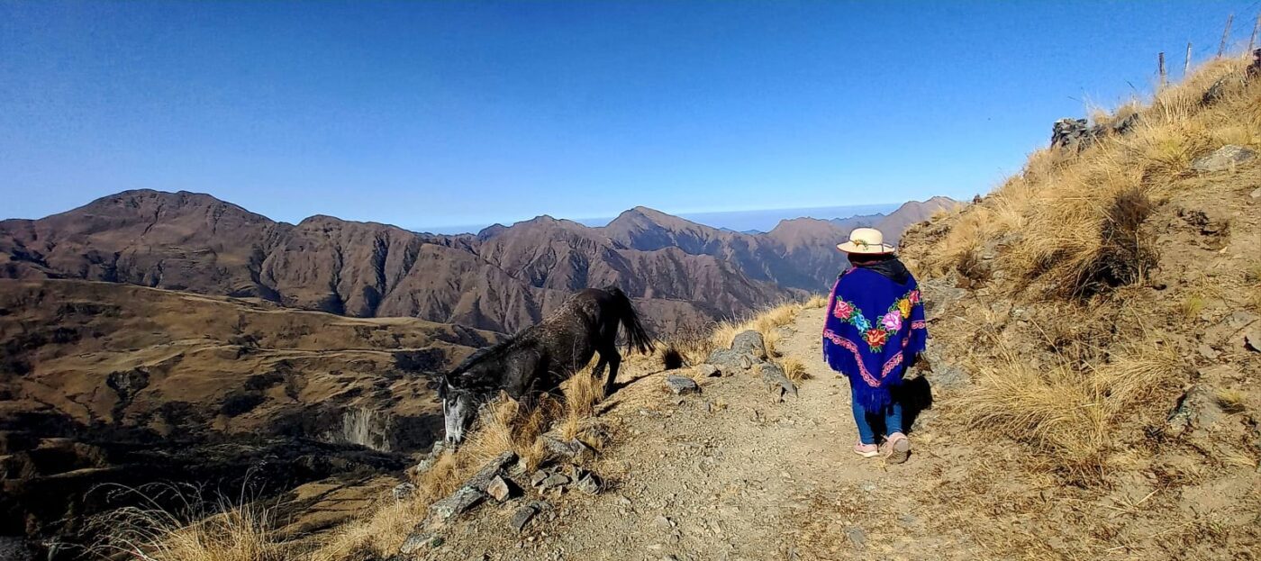 Jujuy from the Quebrada to the Yungas