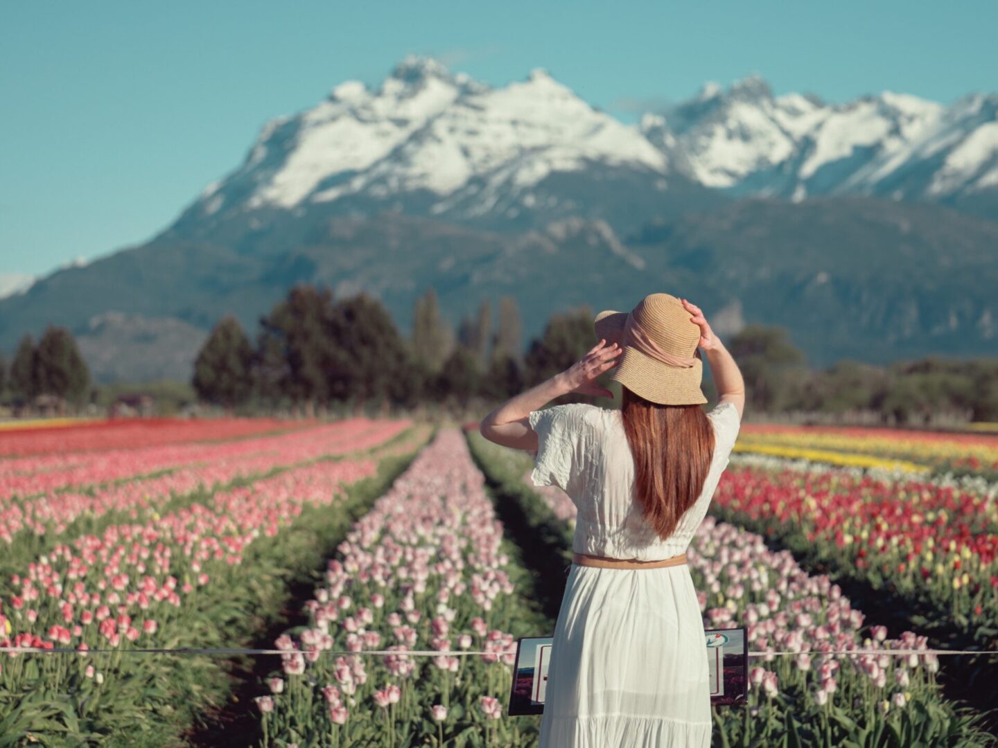 TULIPANES & LAGOS EN BARILOCHE Y EL BOLSON
