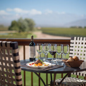 MENDOZA: SABORES Y CULTURA DEL VINO