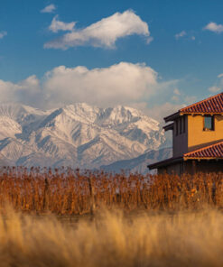 Alternative view of MENDOZA: SABORES Y CULTURA DEL VINO