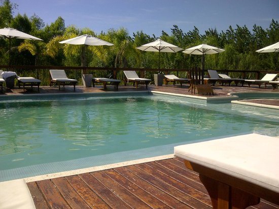 UN ENCUENTRO CON LA NATURALEZA: ESCAPADA AL DELTA - Image 4