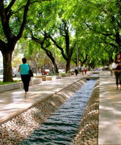 Alternative view of MENDOZA: SABORES Y CULTURA DEL VINO