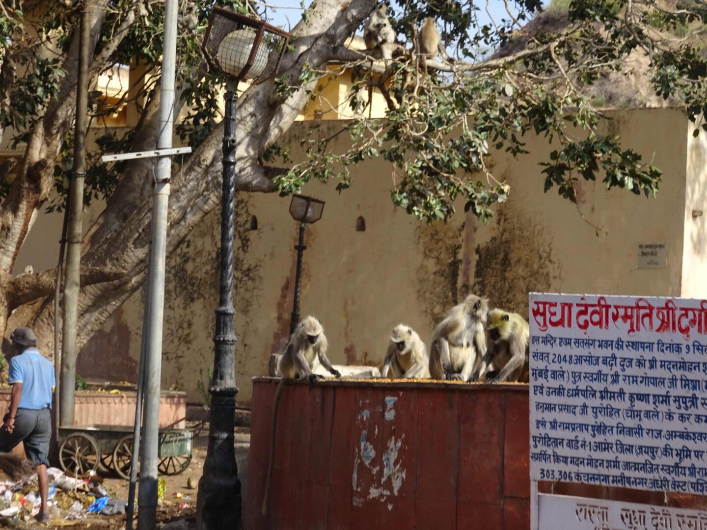 INDIA & MALDIVAS: UN VIAJE DE ENSUEÑO - Imagen 7