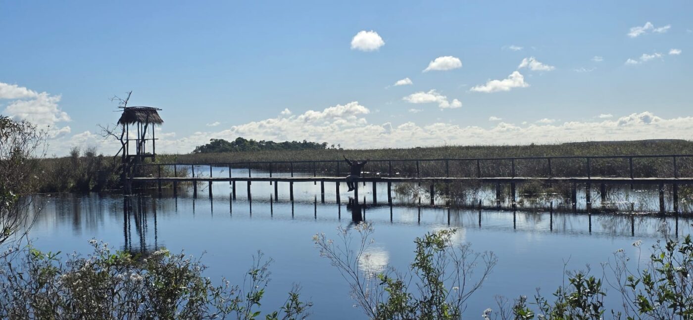 ESTEROS DEL IBERÁ: UN PARAÍSO NATURAL