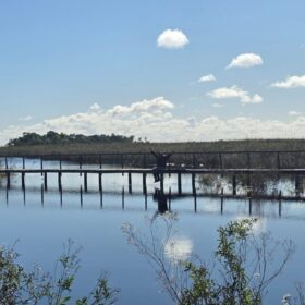ESTEROS DEL IBERÁ: UN PARAÍSO NATURAL