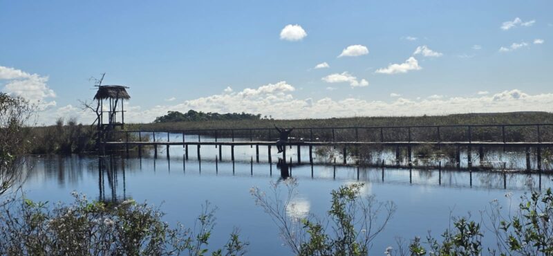 ESTEROS DEL IBERÁ: UN PARAÍSO NATURAL