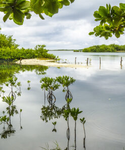 Alternative view of ESCAPADA AL PARAISO: CAYO LARGO - CUBA