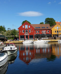 Alternative view of DESCUBRE LA REGIÓN NÓRDICA