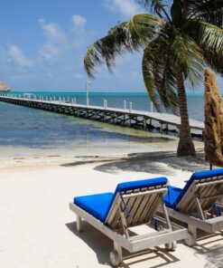 Alternative view of BELICE: DONDE LA SELVA ABRAZA EL MAR