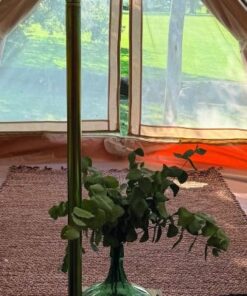 Alternative view of ESCAPADA A LOBOS: DESCANSO Y TRANQUILIDAD