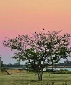 ESCAPADA A LOBOS: DESCANSO Y TRANQUILIDAD