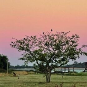 ESCAPADA A LOBOS: DESCANSO Y TRANQUILIDAD
