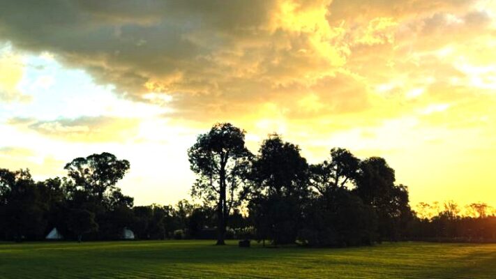 LOBOS: DONDE EL TIEMPO PIERDE EL RELOJ