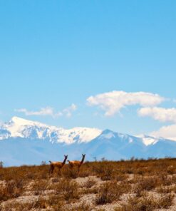EL ENCANTO CORDILLERANO: RELAX EN LAS TERMAS DE PISMANTA - SAN JUAN