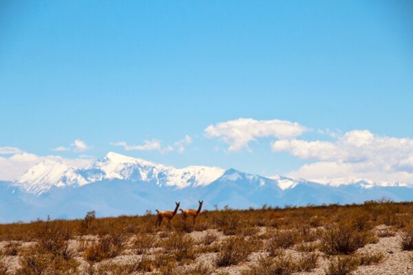 EL ENCANTO CORDILLERANO: RELAX EN LAS TERMAS DE PISMANTA - SAN JUAN