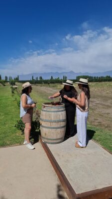 VIVIENDO MENDOZA