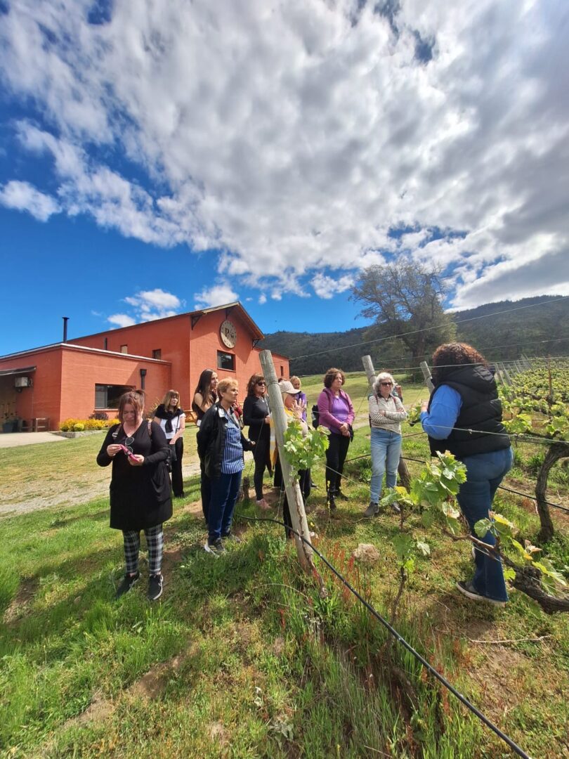DESCUBRE LA MAGIA DE LOS TULIPANES, LAGOS Y MONTAÑAS EN EL SUR - Image 3