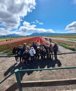 DESCUBRE LA MAGIA DE LOS TULIPANES, LAGOS Y MONTAÑAS EN EL SUR