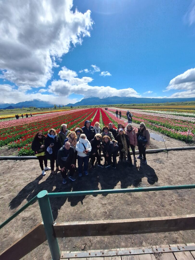 DESCUBRE LA MAGIA DE LOS TULIPANES, LAGOS Y MONTAÑAS EN EL SUR
