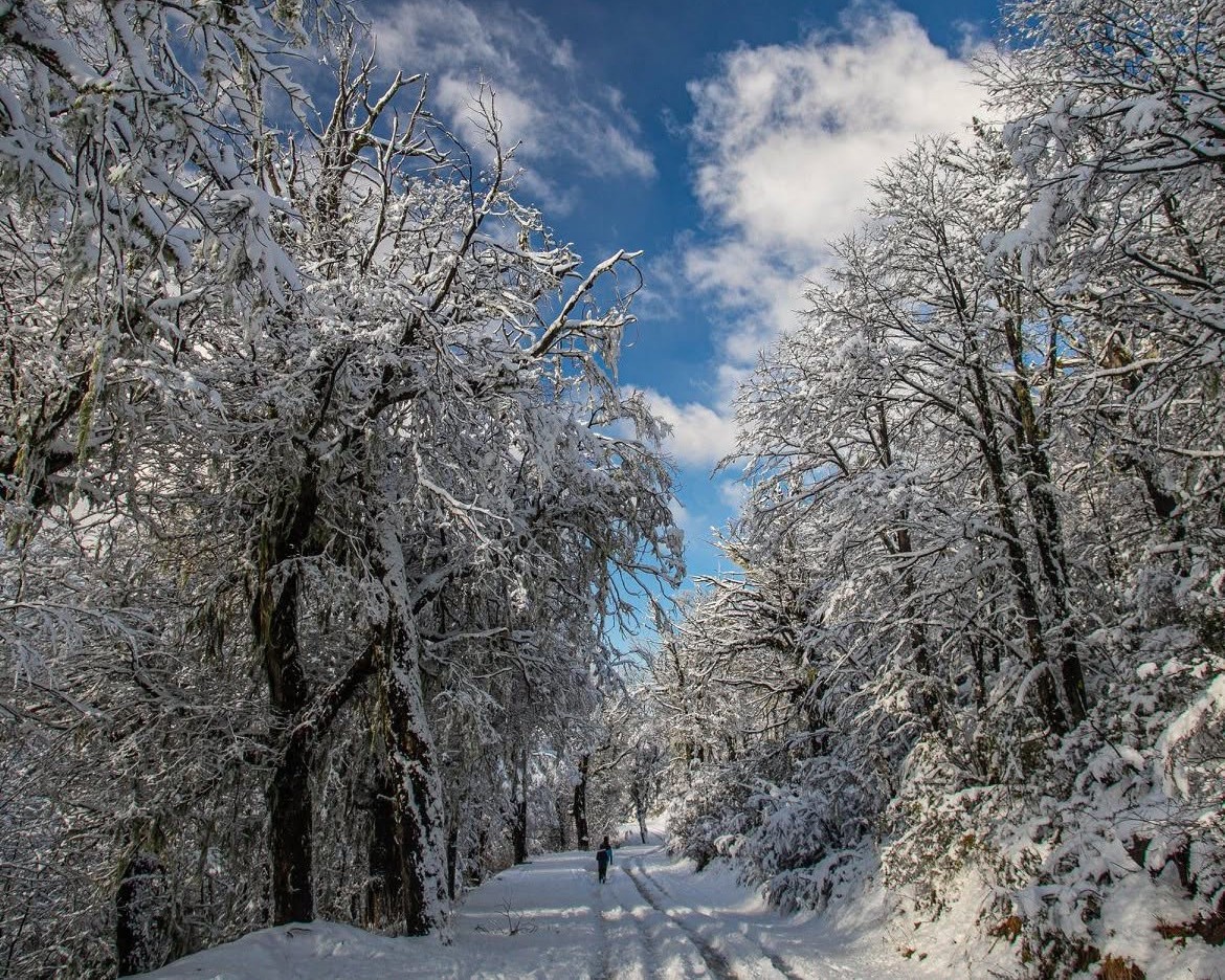 BARILOCHE: LA MAGIA DE LA NIEVE - Imagen 7