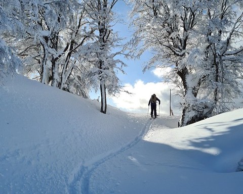 BARILOCHE: LA MAGIA DE LA NIEVE