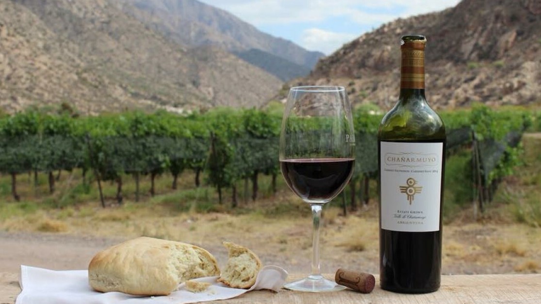 LA RIOJA - RUTA DEL VINO - Image 6