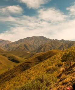 Alternative view of LA RIOJA - RUTA DEL VINO