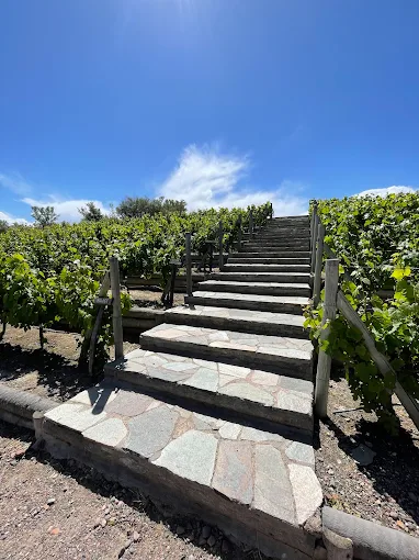 MENDOZA - VIAJE AL CORAZON DEL VINO - Imagen 13
