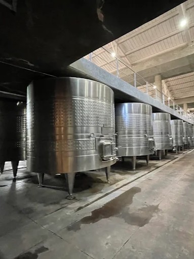 MENDOZA - VIAJE AL CORAZON DEL VINO - Imagen 12