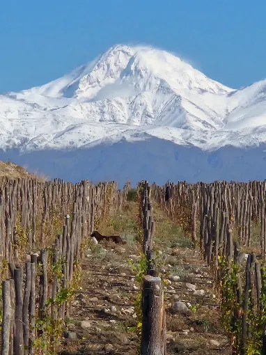 MENDOZA - VIAJE AL CORAZON DEL VINO - Imagen 16