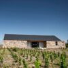 MENDOZA - VIAJE AL CORAZON DEL VINO