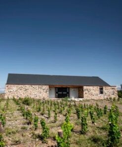 MENDOZA - VIAJE AL CORAZON DEL VINO