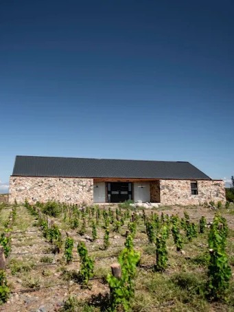 MENDOZA - VIAJE AL CORAZON DEL VINO