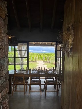 MENDOZA - VIAJE AL CORAZON DEL VINO - Imagen 14