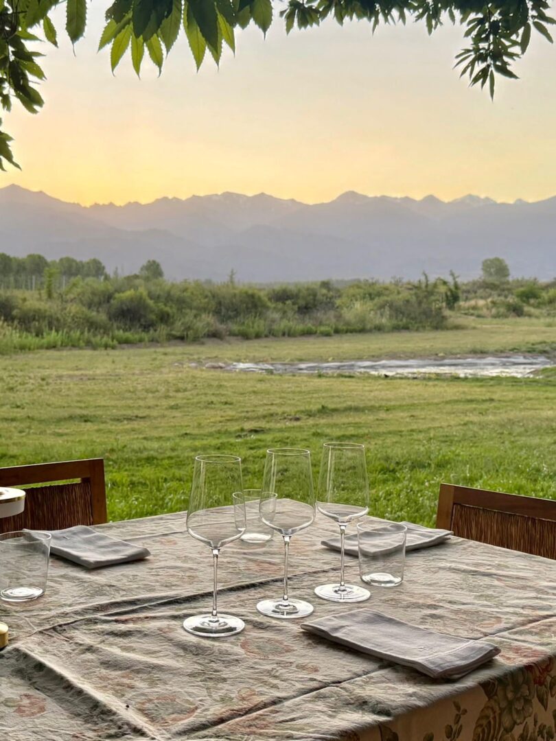 MENDOZA - VIAJE AL CORAZON DEL VINO - Imagen 8