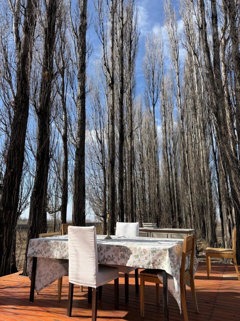 MENDOZA - VIAJE AL CORAZON DEL VINO - Imagen 7