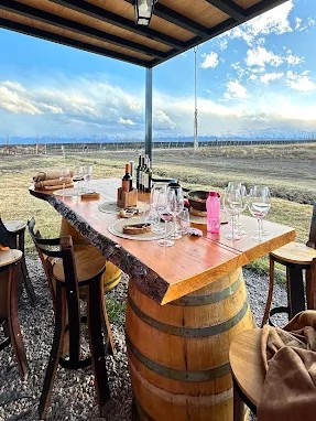MENDOZA - VIAJE AL CORAZON DEL VINO - Imagen 2